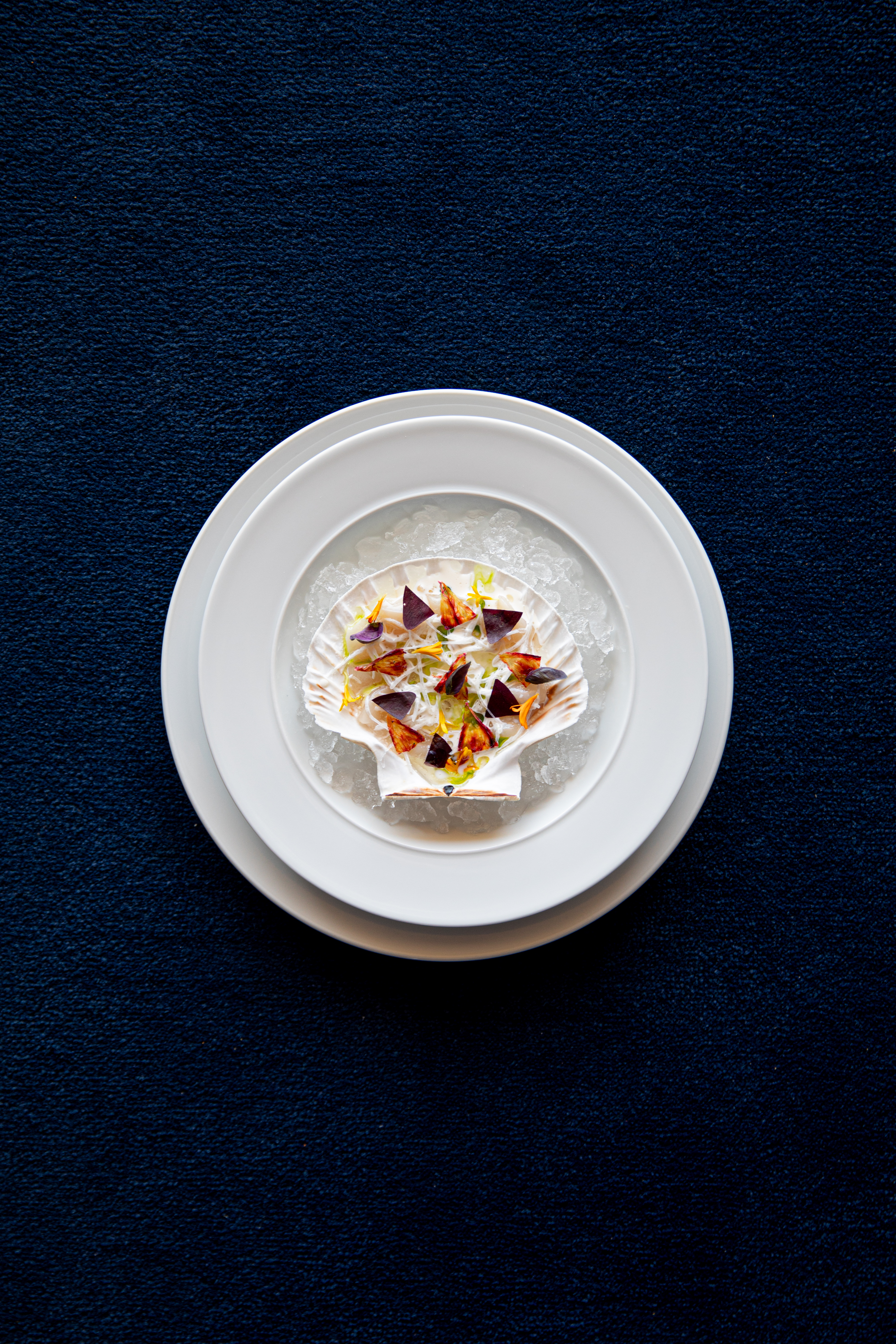 Letizia cigliutti 22 marzo 2024 EB5A9532