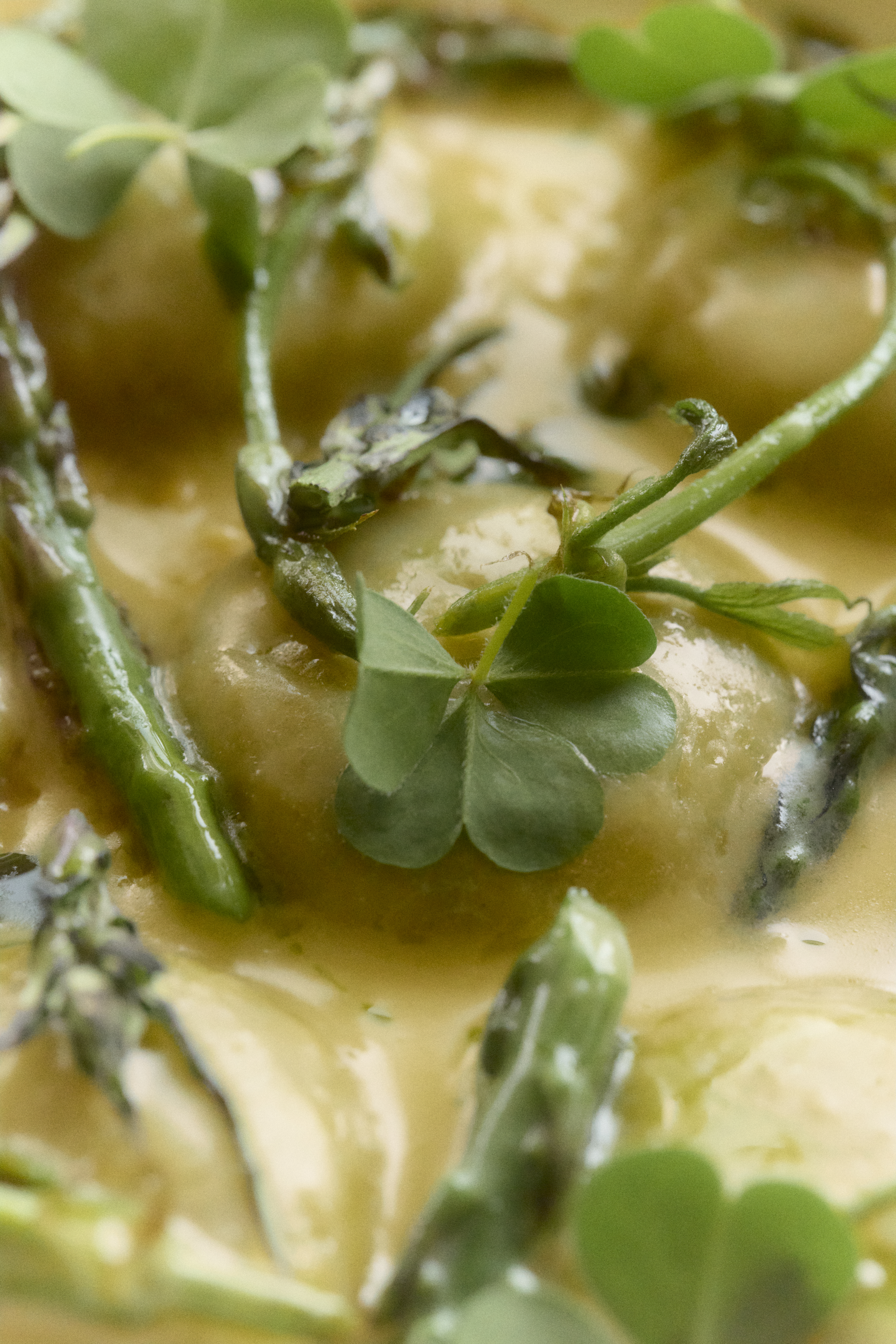 Torre maggio25 Savour 399